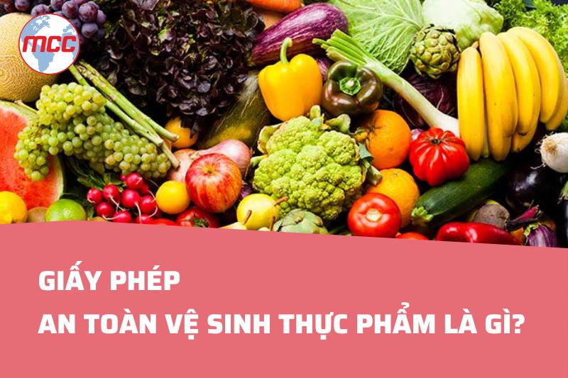 giấy phép an toàn thực phẩm