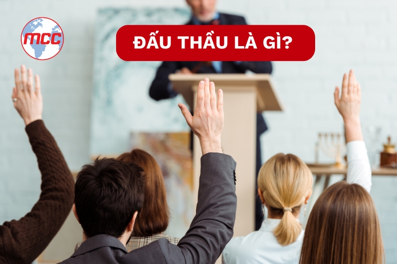 đấu thầu là gì
