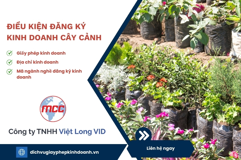Đăng Ký Kinh Doanh Cây Cảnh
