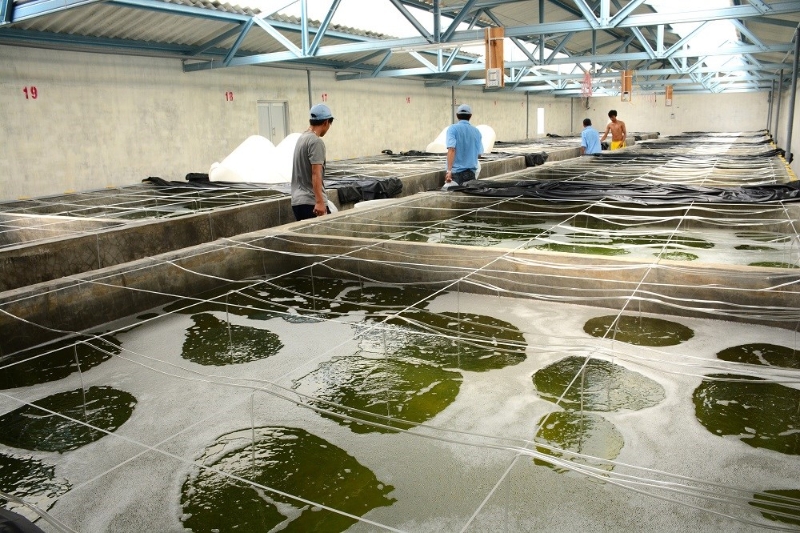  thành lập công ty chế biến thuỷ hải sản