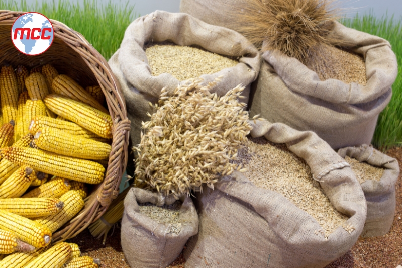 Giấy phép kinh doanh nông sản