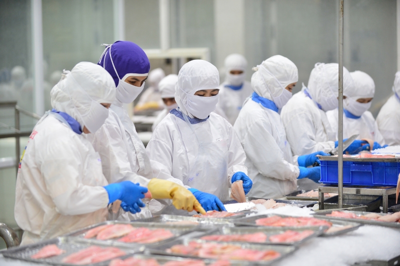  thành lập công ty chế biến thuỷ hải sản